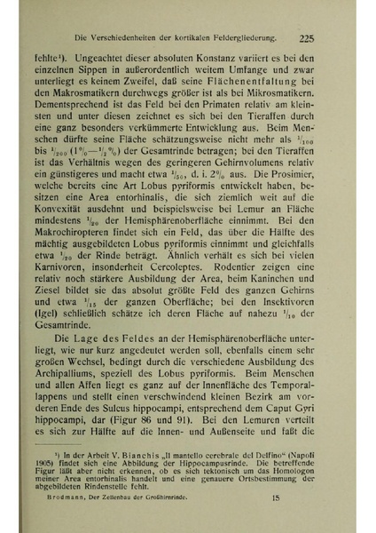 Vergleichende Lokalisationslehre der Grosshirnrinde in ihren Prinzipien dargestellt auf Grund des Zellenbaues.pdf