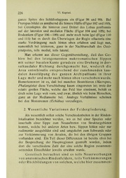 Vergleichende Lokalisationslehre der Grosshirnrinde in ihren Prinzipien dargestellt auf Grund des Zellenbaues.pdf