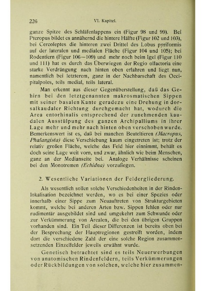Vergleichende Lokalisationslehre der Grosshirnrinde in ihren Prinzipien dargestellt auf Grund des Zellenbaues.pdf
