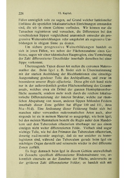 Vergleichende Lokalisationslehre der Grosshirnrinde in ihren Prinzipien dargestellt auf Grund des Zellenbaues.pdf