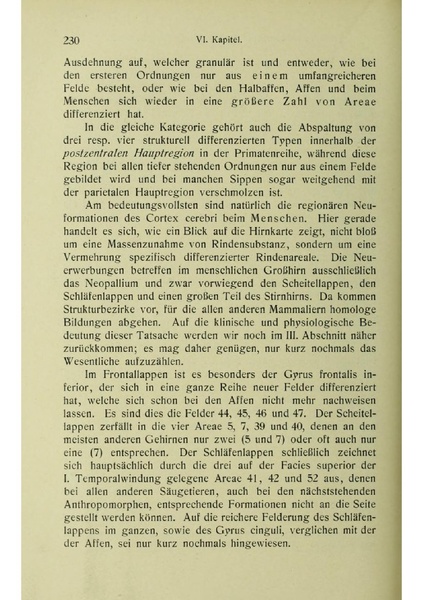 Vergleichende Lokalisationslehre der Grosshirnrinde in ihren Prinzipien dargestellt auf Grund des Zellenbaues.pdf
