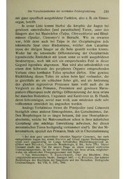 Vergleichende Lokalisationslehre der Grosshirnrinde in ihren Prinzipien dargestellt auf Grund des Zellenbaues.pdf