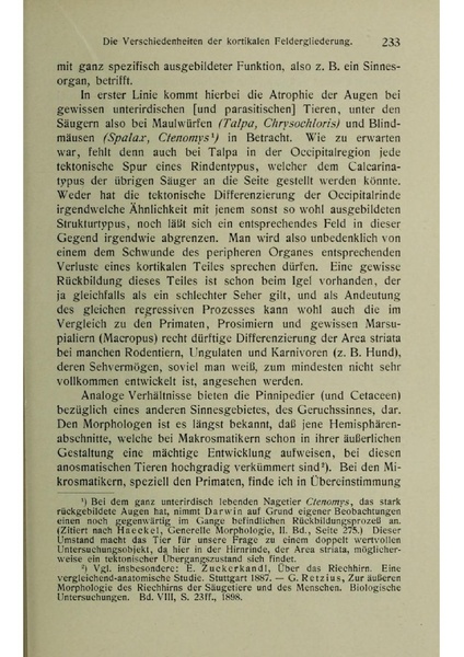 Vergleichende Lokalisationslehre der Grosshirnrinde in ihren Prinzipien dargestellt auf Grund des Zellenbaues.pdf