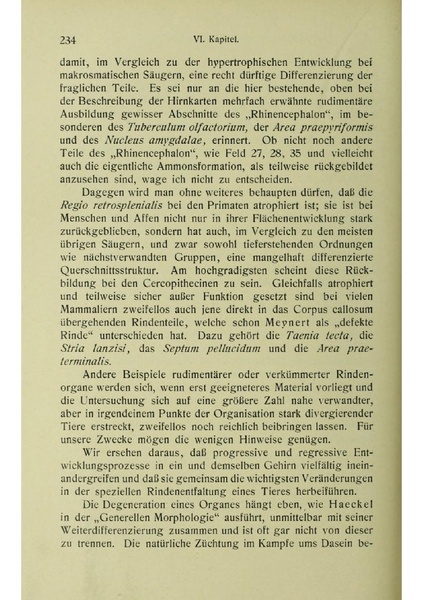 Vergleichende Lokalisationslehre der Grosshirnrinde in ihren Prinzipien dargestellt auf Grund des Zellenbaues.pdf