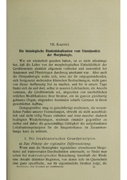 Vergleichende Lokalisationslehre der Grosshirnrinde in ihren Prinzipien dargestellt auf Grund des Zellenbaues.pdf