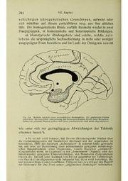 Vergleichende Lokalisationslehre der Grosshirnrinde in ihren Prinzipien dargestellt auf Grund des Zellenbaues.pdf