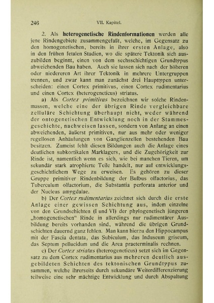 Vergleichende Lokalisationslehre der Grosshirnrinde in ihren Prinzipien dargestellt auf Grund des Zellenbaues.pdf
