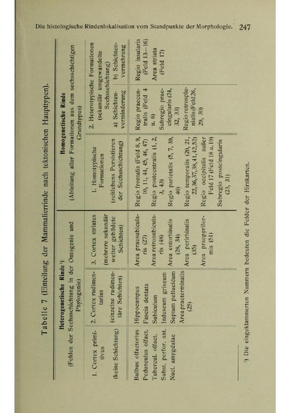 Vergleichende Lokalisationslehre der Grosshirnrinde in ihren Prinzipien dargestellt auf Grund des Zellenbaues.pdf