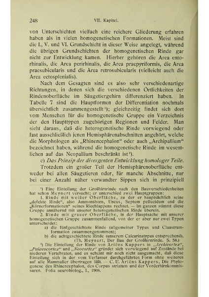 Vergleichende Lokalisationslehre der Grosshirnrinde in ihren Prinzipien dargestellt auf Grund des Zellenbaues.pdf