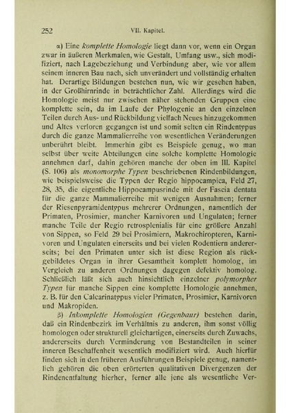 Vergleichende Lokalisationslehre der Grosshirnrinde in ihren Prinzipien dargestellt auf Grund des Zellenbaues.pdf