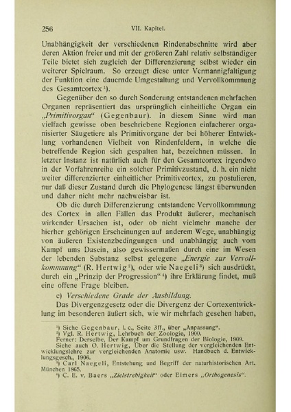 Vergleichende Lokalisationslehre der Grosshirnrinde in ihren Prinzipien dargestellt auf Grund des Zellenbaues.pdf