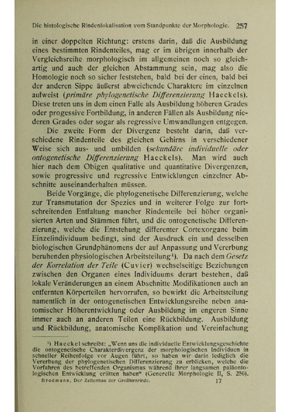 Vergleichende Lokalisationslehre der Grosshirnrinde in ihren Prinzipien dargestellt auf Grund des Zellenbaues.pdf