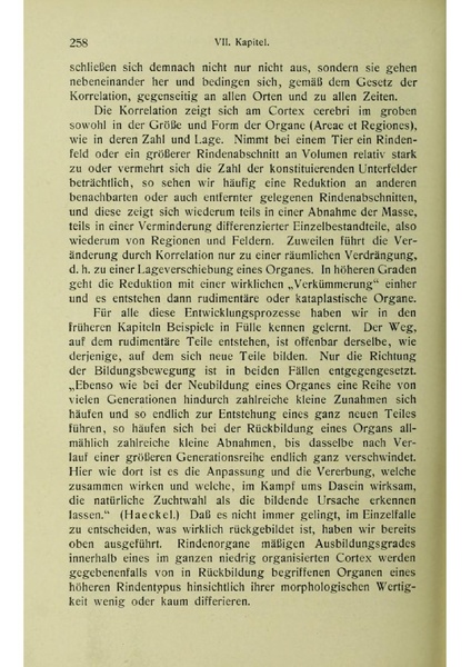 Vergleichende Lokalisationslehre der Grosshirnrinde in ihren Prinzipien dargestellt auf Grund des Zellenbaues.pdf