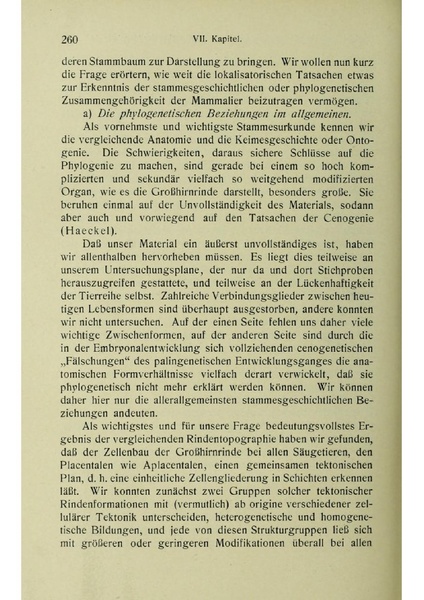 Vergleichende Lokalisationslehre der Grosshirnrinde in ihren Prinzipien dargestellt auf Grund des Zellenbaues.pdf