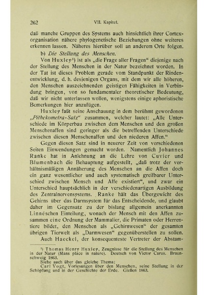 Vergleichende Lokalisationslehre der Grosshirnrinde in ihren Prinzipien dargestellt auf Grund des Zellenbaues.pdf