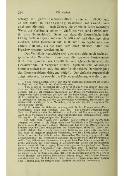 Vergleichende Lokalisationslehre der Grosshirnrinde in ihren Prinzipien dargestellt auf Grund des Zellenbaues.pdf