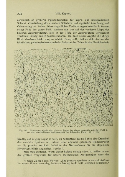 Vergleichende Lokalisationslehre der Grosshirnrinde in ihren Prinzipien dargestellt auf Grund des Zellenbaues.pdf