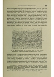 Vergleichende Lokalisationslehre der Grosshirnrinde in ihren Prinzipien dargestellt auf Grund des Zellenbaues.pdf