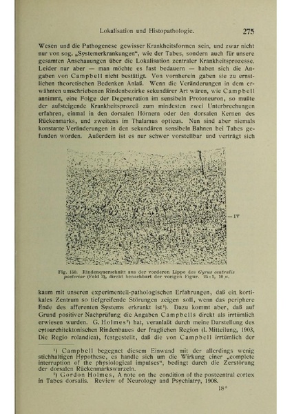 Vergleichende Lokalisationslehre der Grosshirnrinde in ihren Prinzipien dargestellt auf Grund des Zellenbaues.pdf