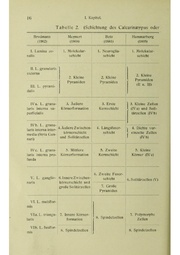 Vergleichende Lokalisationslehre der Grosshirnrinde in ihren Prinzipien dargestellt auf Grund des Zellenbaues.pdf