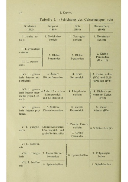 Vergleichende Lokalisationslehre der Grosshirnrinde in ihren Prinzipien dargestellt auf Grund des Zellenbaues.pdf