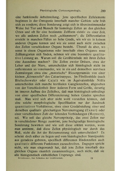 Vergleichende Lokalisationslehre der Grosshirnrinde in ihren Prinzipien dargestellt auf Grund des Zellenbaues.pdf