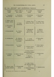 Vergleichende Lokalisationslehre der Grosshirnrinde in ihren Prinzipien dargestellt auf Grund des Zellenbaues.pdf