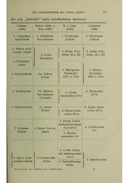 Vergleichende Lokalisationslehre der Grosshirnrinde in ihren Prinzipien dargestellt auf Grund des Zellenbaues.pdf