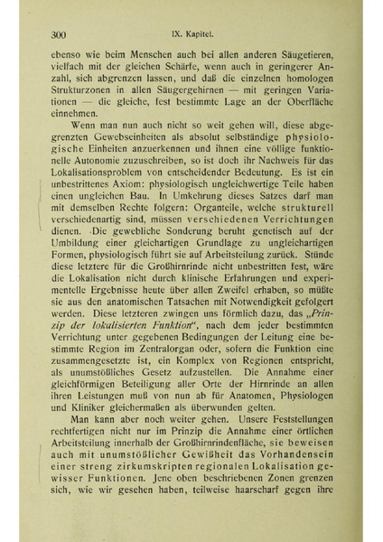 Vergleichende Lokalisationslehre der Grosshirnrinde in ihren Prinzipien dargestellt auf Grund des Zellenbaues.pdf