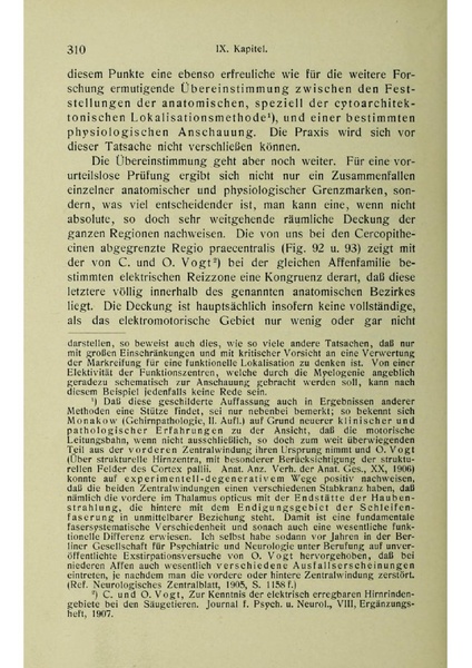Vergleichende Lokalisationslehre der Grosshirnrinde in ihren Prinzipien dargestellt auf Grund des Zellenbaues.pdf