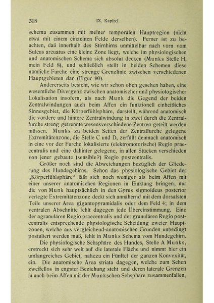 Vergleichende Lokalisationslehre der Grosshirnrinde in ihren Prinzipien dargestellt auf Grund des Zellenbaues.pdf