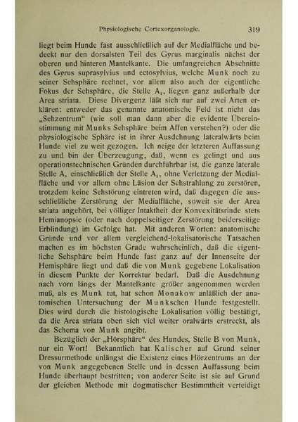 Vergleichende Lokalisationslehre der Grosshirnrinde in ihren Prinzipien dargestellt auf Grund des Zellenbaues.pdf
