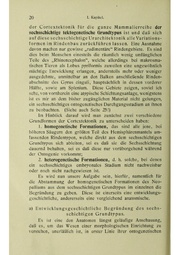 Vergleichende Lokalisationslehre der Grosshirnrinde in ihren Prinzipien dargestellt auf Grund des Zellenbaues.pdf