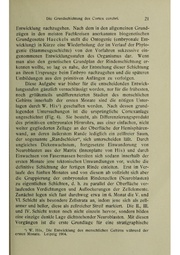 Vergleichende Lokalisationslehre der Grosshirnrinde in ihren Prinzipien dargestellt auf Grund des Zellenbaues.pdf