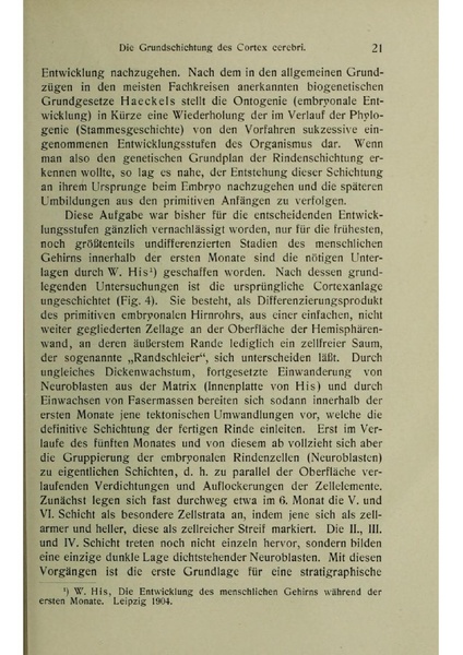 Vergleichende Lokalisationslehre der Grosshirnrinde in ihren Prinzipien dargestellt auf Grund des Zellenbaues.pdf