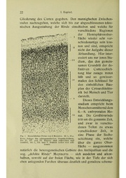 Vergleichende Lokalisationslehre der Grosshirnrinde in ihren Prinzipien dargestellt auf Grund des Zellenbaues.pdf
