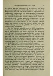 Vergleichende Lokalisationslehre der Grosshirnrinde in ihren Prinzipien dargestellt auf Grund des Zellenbaues.pdf
