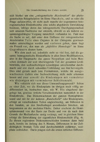 Vergleichende Lokalisationslehre der Grosshirnrinde in ihren Prinzipien dargestellt auf Grund des Zellenbaues.pdf