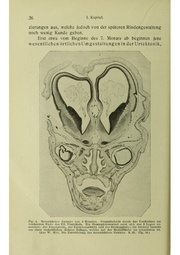 Vergleichende Lokalisationslehre der Grosshirnrinde in ihren Prinzipien dargestellt auf Grund des Zellenbaues.pdf