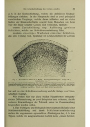 Vergleichende Lokalisationslehre der Grosshirnrinde in ihren Prinzipien dargestellt auf Grund des Zellenbaues.pdf