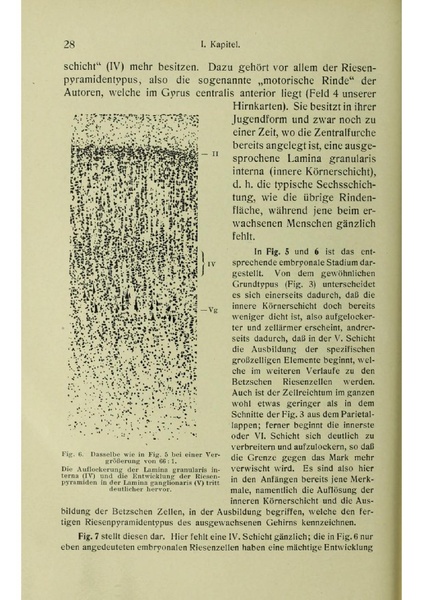Vergleichende Lokalisationslehre der Grosshirnrinde in ihren Prinzipien dargestellt auf Grund des Zellenbaues.pdf
