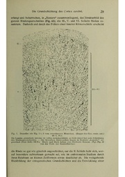 Vergleichende Lokalisationslehre der Grosshirnrinde in ihren Prinzipien dargestellt auf Grund des Zellenbaues.pdf