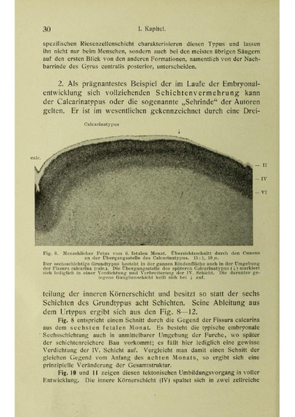 Vergleichende Lokalisationslehre der Grosshirnrinde in ihren Prinzipien dargestellt auf Grund des Zellenbaues.pdf