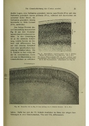 Vergleichende Lokalisationslehre der Grosshirnrinde in ihren Prinzipien dargestellt auf Grund des Zellenbaues.pdf