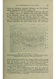 Vergleichende Lokalisationslehre der Grosshirnrinde in ihren Prinzipien dargestellt auf Grund des Zellenbaues.pdf