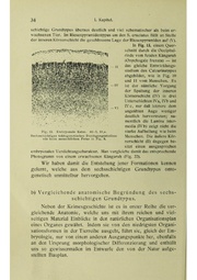 Vergleichende Lokalisationslehre der Grosshirnrinde in ihren Prinzipien dargestellt auf Grund des Zellenbaues.pdf