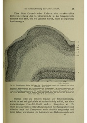 Vergleichende Lokalisationslehre der Grosshirnrinde in ihren Prinzipien dargestellt auf Grund des Zellenbaues.pdf