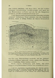 Vergleichende Lokalisationslehre der Grosshirnrinde in ihren Prinzipien dargestellt auf Grund des Zellenbaues.pdf