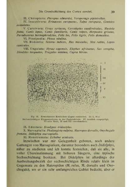 Vergleichende Lokalisationslehre der Grosshirnrinde in ihren Prinzipien dargestellt auf Grund des Zellenbaues.pdf