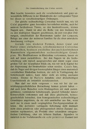 Vergleichende Lokalisationslehre der Grosshirnrinde in ihren Prinzipien dargestellt auf Grund des Zellenbaues.pdf